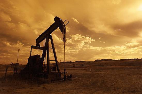 Александр Новак - Новак назвал срок стабилизации цен на нефть - pnp.ru