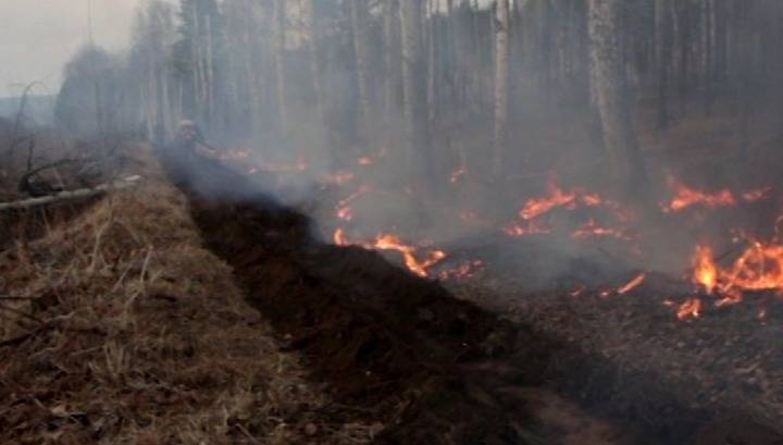 Лес в Шелеховском районе чуть не сгорел по вине туристов - vesti.ru - Иркутск - район Шелеховский