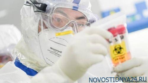 Сингапурские ученые ухудшили прогноз по срокам завершения эпидемии коронавируса в России - novostidnya24.ru - Россия - Сингапур