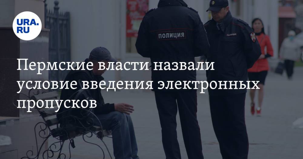 Пермские власти назвали условие введения электронных пропусков - ura.news - Пермский край