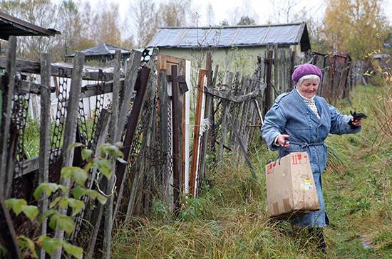 Две недели на карантине проведут уехавшие на дальние дачи петербуржцы - pnp.ru - Ленинградская обл. - Вологодская обл. - Петербурга - Псковская обл. - Новгородская обл.