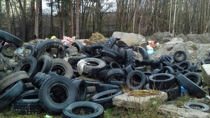 Огромная гора старых покрышек выросла в Приморском районе Петербурга - piter.tv - Санкт-Петербург