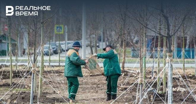 Максим Платонов - Самоизоляция чуть не сорвала сезон субботников, но очистила воздух в Казани - realnoevremya.ru - респ. Татарстан - Казань
