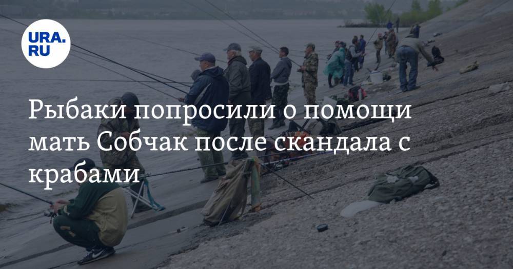 Владимир Соловьев - Ксения Собчак - Людмила Нарусова - Рыбаки попросили о помощи мать Собчак после скандала с крабами - ura.news - Россия