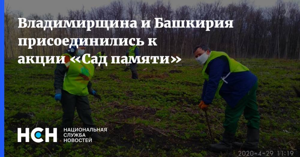 Александр Матросов - Владимирщина и Башкирия присоединились к акции «Сад памяти» - nsn.fm - Башкирия - Владимирская обл.