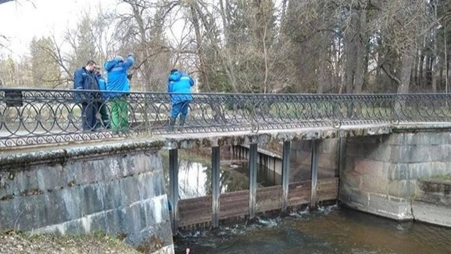 Павловский парк начали готовить к приёму посетителей - dp.ru - Павловск