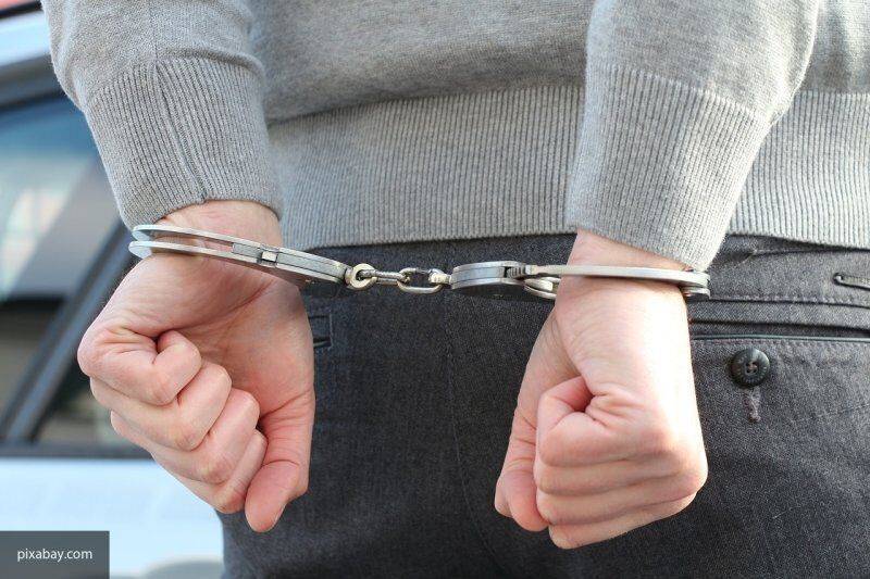 Блогера Мирзеханова приговорили к 10 годам колонии за участие в ИГ - nation-news.ru - Москва - Россия - респ. Дагестан