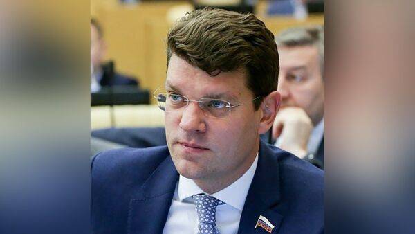 Депутат Кравченко рассказал об успехах международных проектов в условиях коронавируса - inforeactor.ru - Россия - Московская обл.