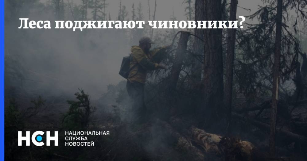Александр Хинштейн - Леса поджигают чиновники? - nsn.fm - Иркутск - район Усть-Кутский