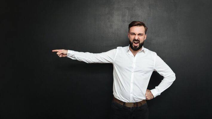 Александр Хинштейн - «Единая Россия» завоюет доверие избирателей борьбой с хамстом чиновников - polit.info - Россия