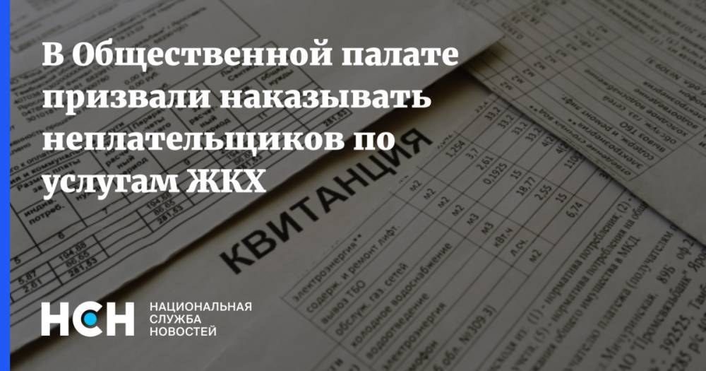 Петр Бирюков - В Общественной палате призвали наказывать неплательщиков по услугам ЖКХ - nsn.fm - Москва - Россия
