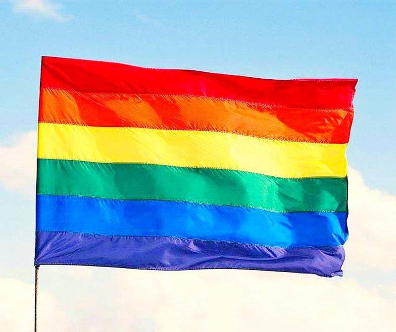 ИА Панорама сообщило, что ЛГБТ разрешат голосовать по поправкам в Конституцию - newsland.com