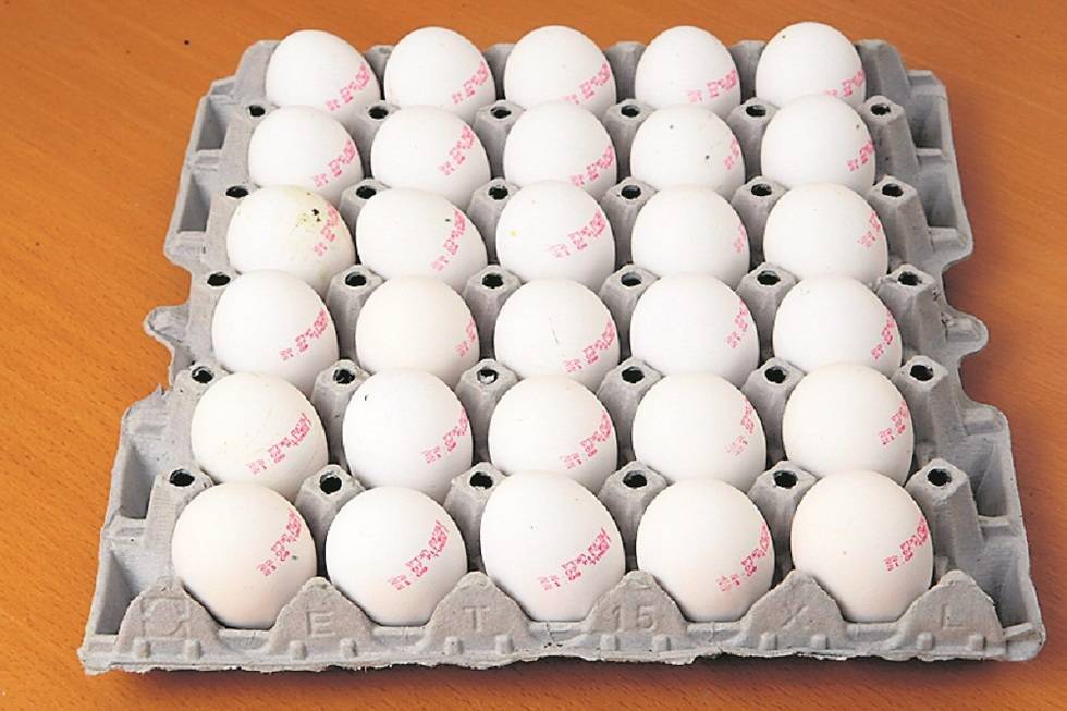 Моше Кахлон - Миллионы яиц будут экстренно доставлены в Израиль к Песаху - vesty.co.il - Израиль