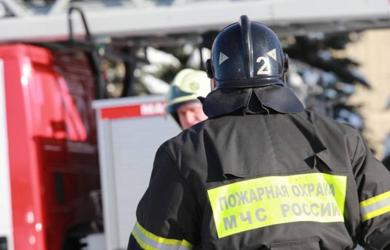 Глава МЧС поздравил российских пожарных с профессиональным праздником - news.ru - Россия