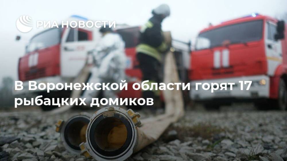 В Воронежской области горят 17 рыбацких домиков - ria.ru - Москва - Россия - Воронежская обл. - район Рамонский