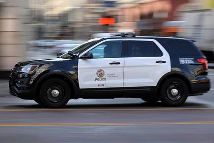 В США задержали россиянку по обвинению в покушении на убийство - lenta.ru - США - New York - Берлин - Нью-Йорк