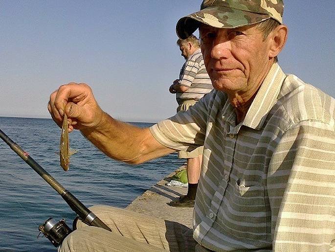 Росрыболовство предложило разрешить рыбакам-любителям продавать уловы - newsland.com - Мурманская обл.