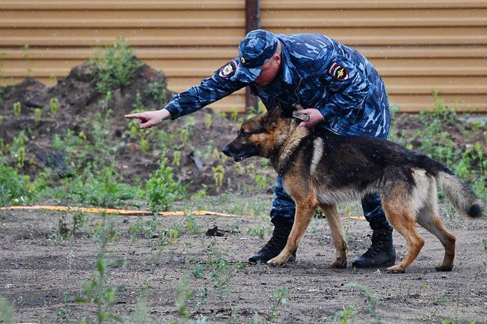 Сбежавший из больницы пациент с COVID-19 заразил семью с новорожденным - tvc.ru - Благовещенск