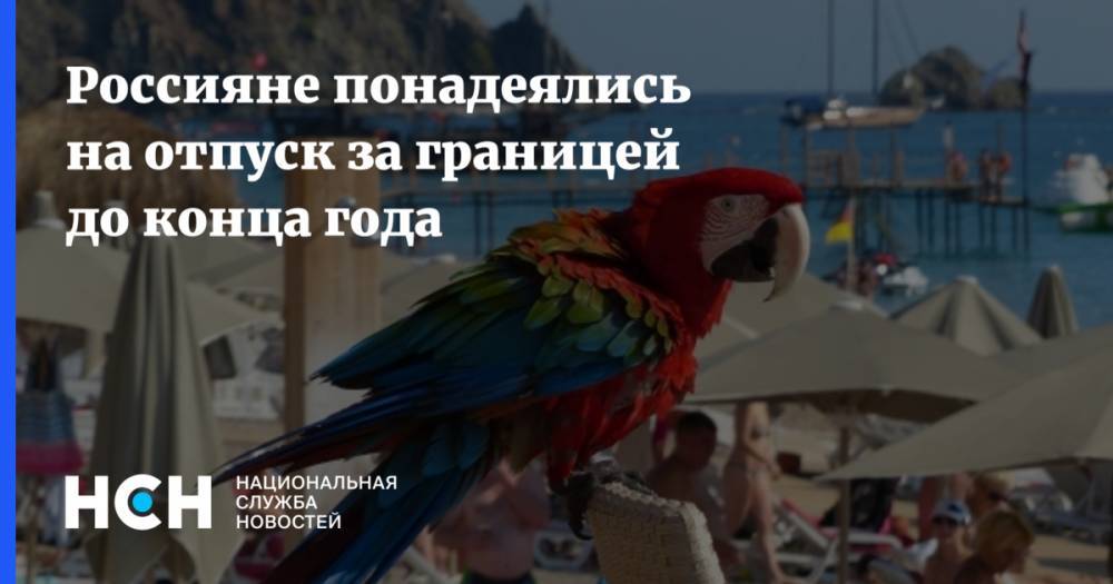Россияне понадеялись на отпуск за границей до конца года - nsn.fm - Россия