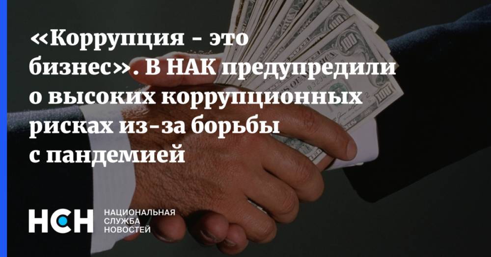 Кирилл Кабанов - «Коррупция - это бизнес». В НАК предупредили о высоких коррупционных рисках из-за борьбы с пандемией - nsn.fm - Россия