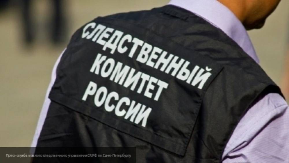 Олег Никитин - Полиция Тверской области разыскивает пропавшую 16-летнюю девушку - nation-news.ru - Смоленская обл. - респ. Алтай - Тверская обл. - район Конаковский