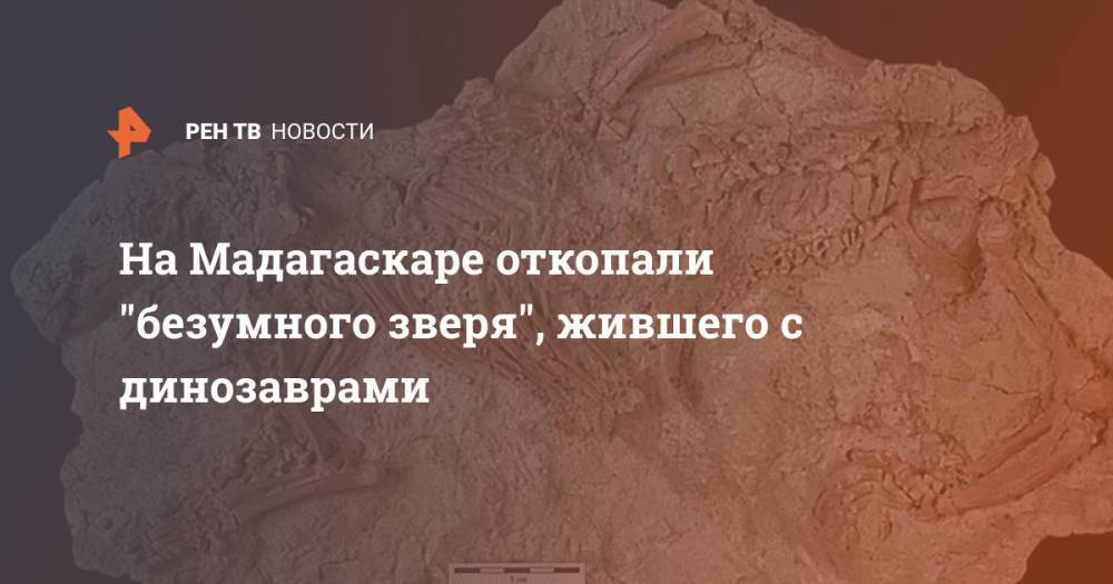 На Мадагаскаре откопали "безумного зверя", жившего с динозаврами - ren.tv - Австралия - Новая Зеландия - Антарктида - Мадагаскар