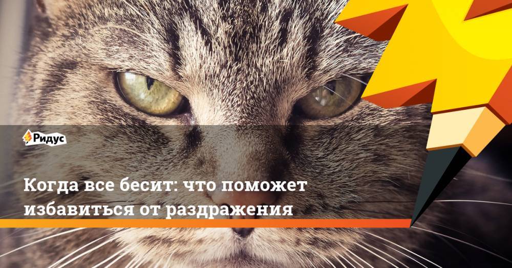 Когда все бесит: что поможет избавиться от раздражения - ridus.ru