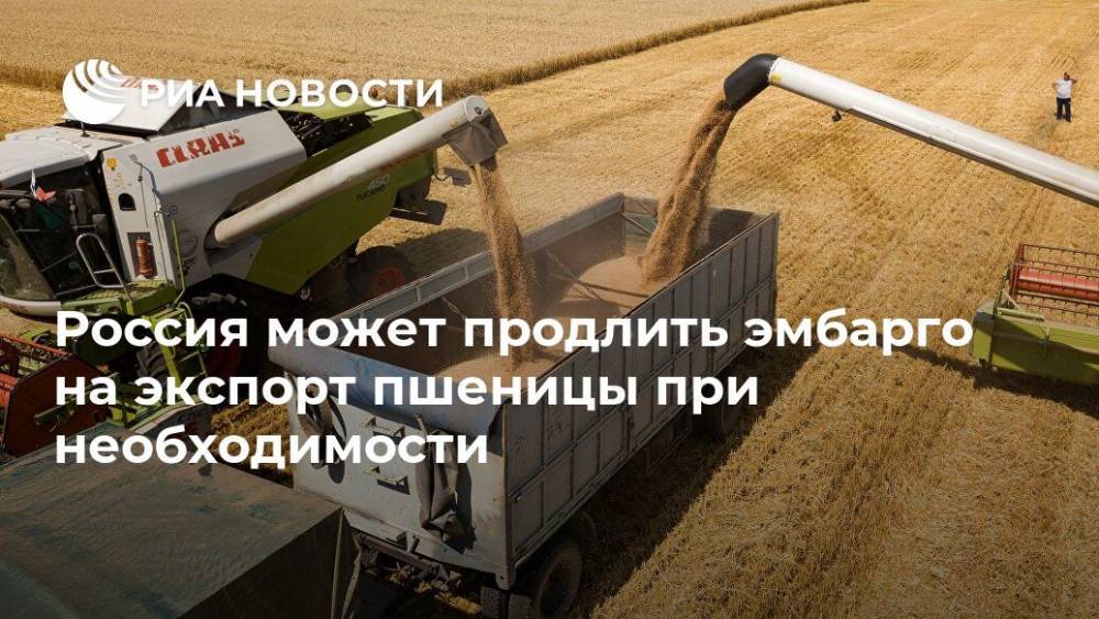 Алексей Майоров - Россия может продлить эмбарго на экспорт пшеницы при необходимости - ria.ru - Москва - Россия