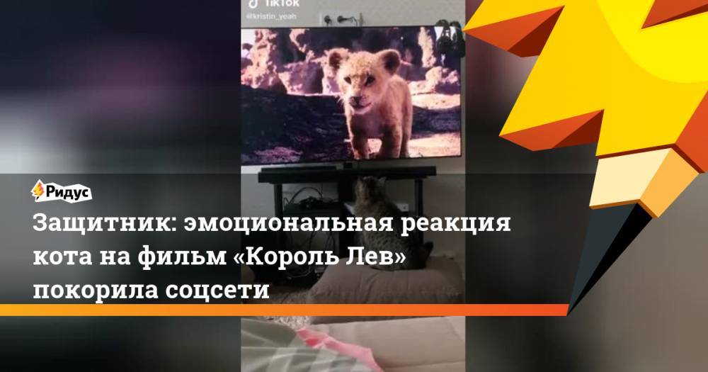 Защитник: эмоциональная реакция кота нафильм «Король Лев» покорила соцсети - ridus.ru - Сургут