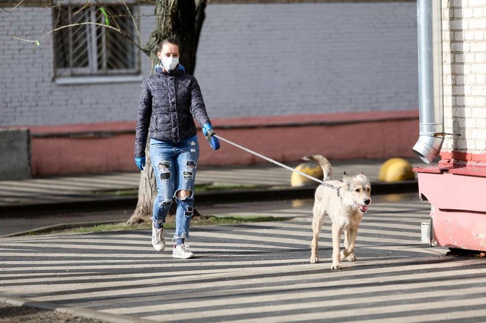 Максим Ликсутов - Парковка и проезд в транспорте Москвы станут бесплатными для волонтеров - vm.ru - Москва