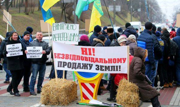 Владимир Зеленский - Земля – в воздух. Как Украина начинает продажу сельхозугодий - lv.baltnews.com - Украина