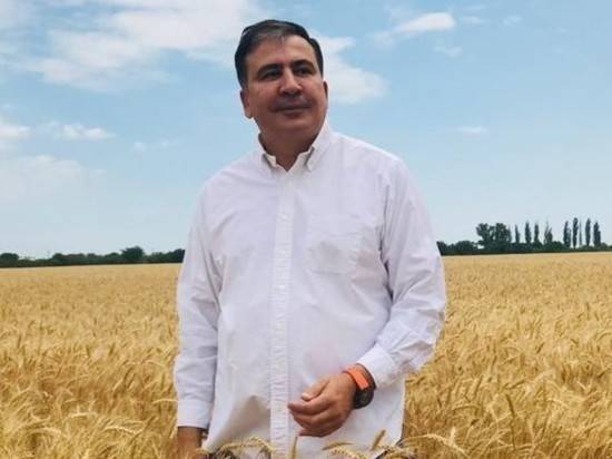 Владимир Зеленский - Дмитрий Песков - Давид Арахамия - Михаил Саакашвили - Саакашвили договорился с Зеленским занять новую должность на Украине - newtvnews.ru - Россия - Украина - Грузия - Одесская обл.