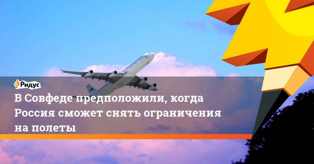 Владимир Джабаров - В Совфеде предположили, когда Россия сможет снять ограничения на полеты - ridus.ru - Россия