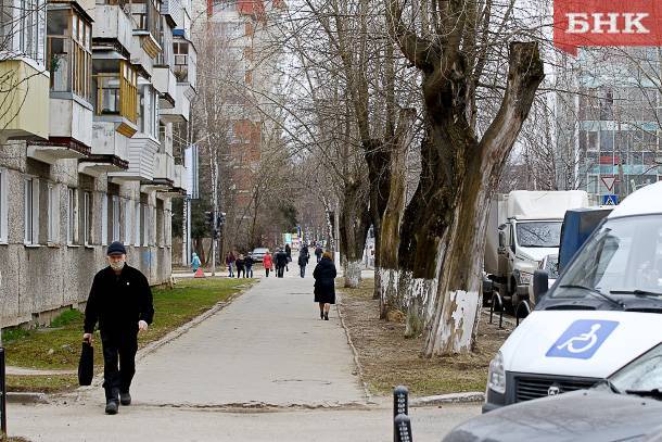 Виктор Бобыря - Деревья в Сыктывкаре омолаживают спилами и формовкой - bnkomi.ru - респ. Коми - Сыктывкар