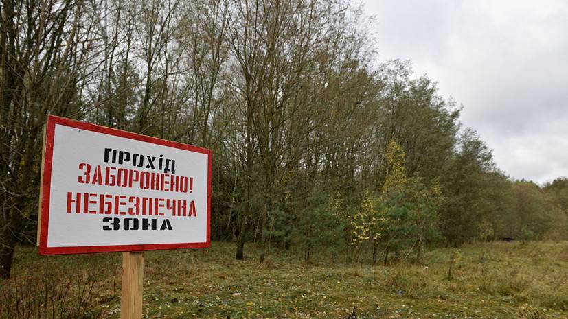 Егор Фирсов - На Украине заявили об усилении лесного пожара в чернобыльской зоне - russian.rt.com - Украина