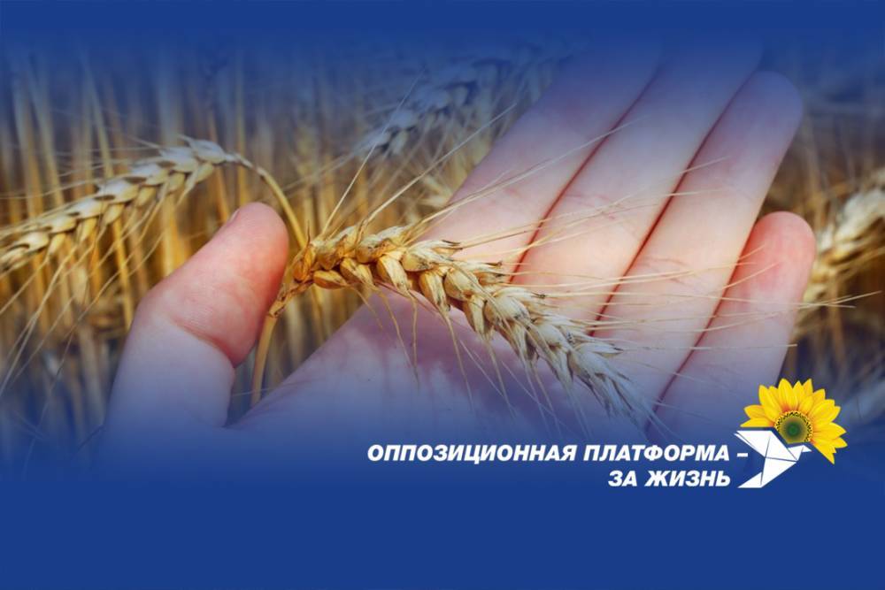 Власть ведет Украину к голоду. Заявление «ОП - За жизнь» - newsland.com - Украина