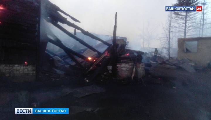 На ферме в Башкирии в результате пожара погибли десятки домашних животных - vesti.ru - Россия - Башкирия - район Чекмагушевский