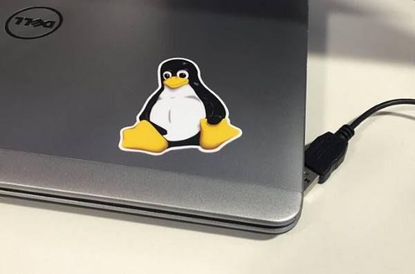 Россияне выпустили «легкий» Linux с поддержкой «Эльбрусов» и «Байкалов» - cnews.ru