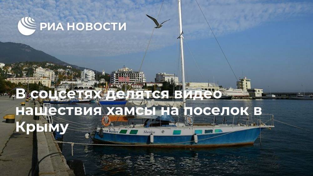 В соцсетях делятся видео нашествия хамсы на поселок в Крыму - ria.ru - Москва - Крым - Симферополь - Севастополь