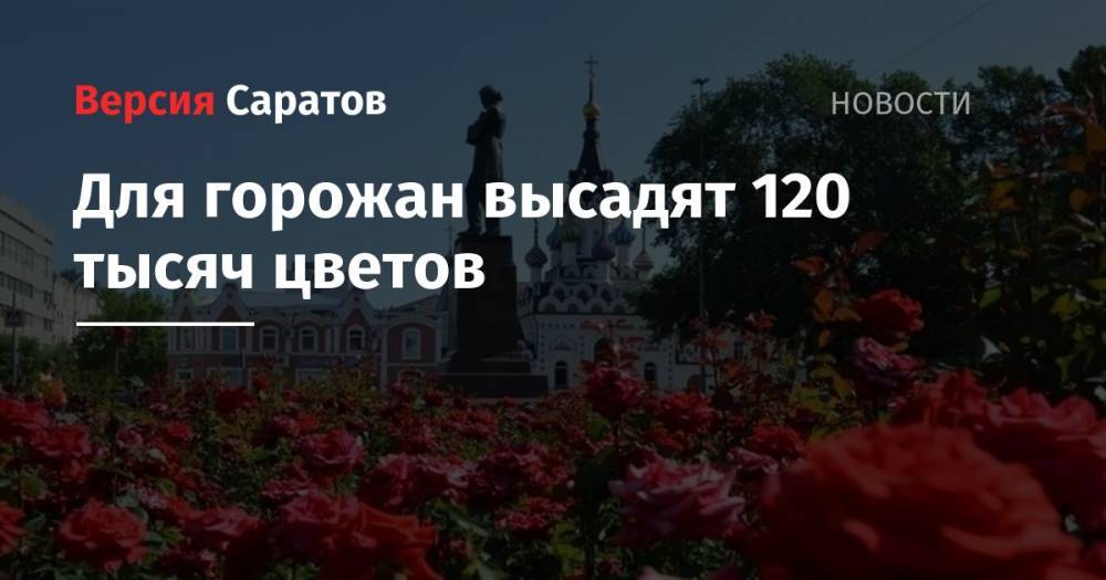 Александр Белов - Для горожан высадят 120 тысяч цветов - nversia.ru