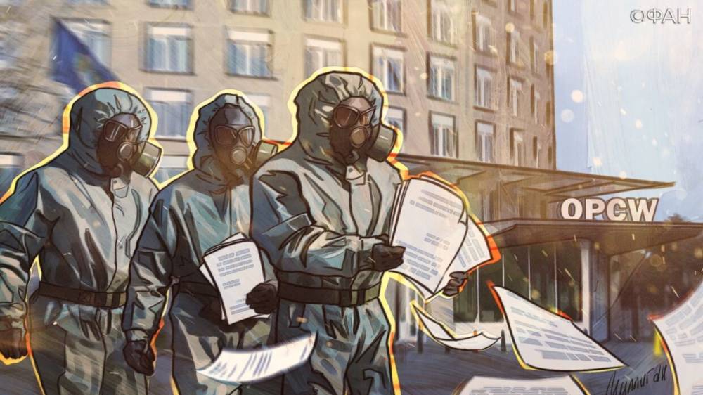 Постпред РФ заявил о двойных стандартах ОЗХО при расследовании инцидентов в Сирии - riafan.ru - Россия - Дамаск - Сирия - Гаага - провинция Алеппо