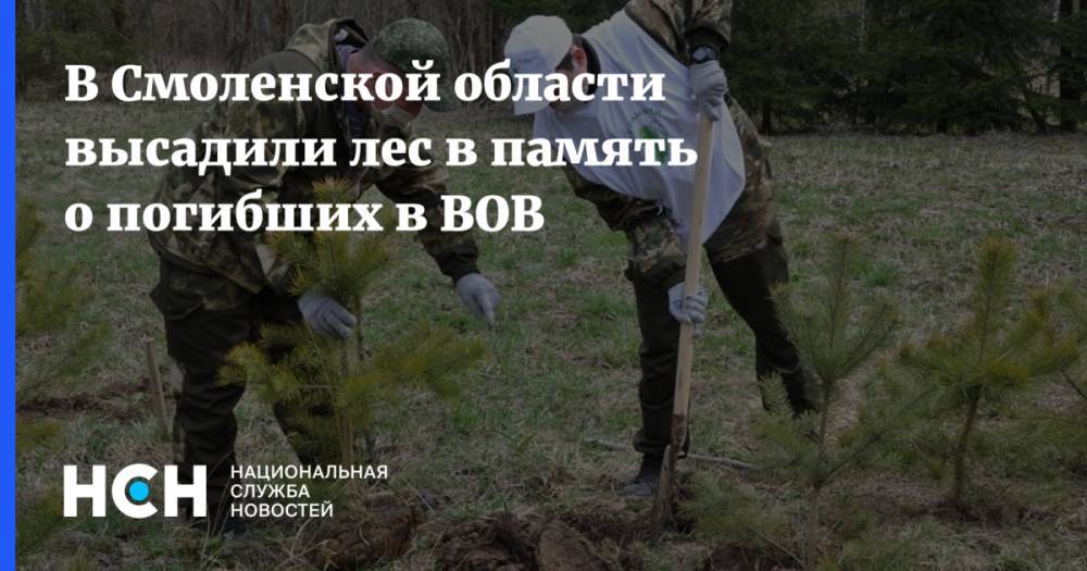 В Смоленской области высадили лес в память о погибших в ВОВ - nsn.fm - Смоленская обл. - Белгородская обл. - район Гагаринский - Калужская обл. - Ивановская обл. - Липецкая обл.