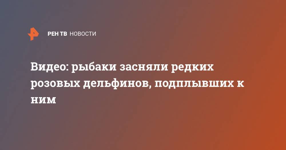 Видео: рыбаки засняли редких розовых дельфинов, подплывших к ним - ren.tv - Аргентина - Уругвай