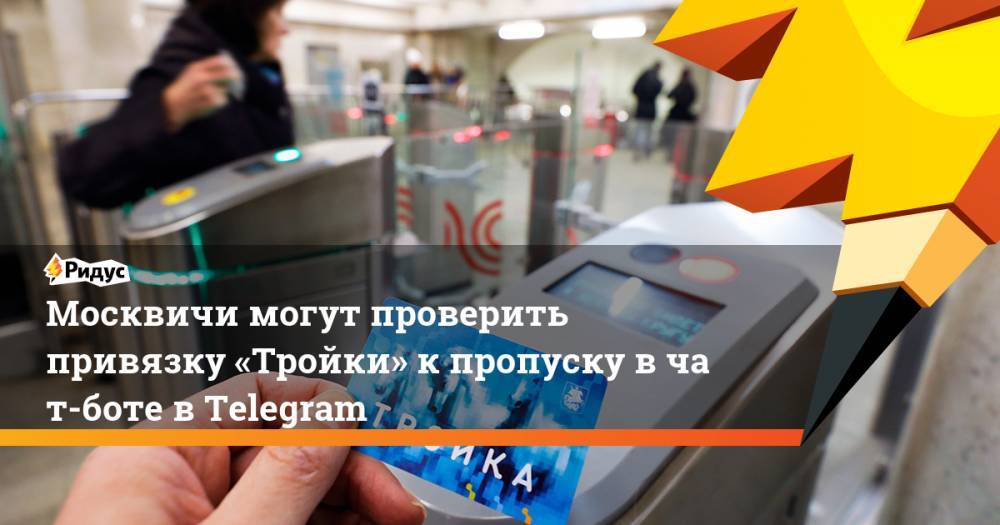Максим Ликсутов - Москвичи могут проверить привязку «Тройки» кпропуску вчат-боте вTelegram - ridus.ru - Москва - Московская обл.