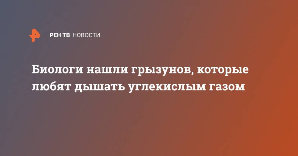 Биологи нашли грызунов, которые любят дышать углекислым газом - ren.tv - Нью-Йорк