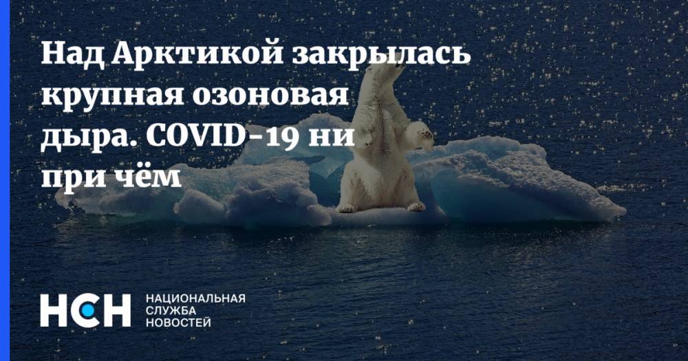 Над Арктикой закрылась крупная озоновая дыра. COVID-19 ни при чём - nsn.fm