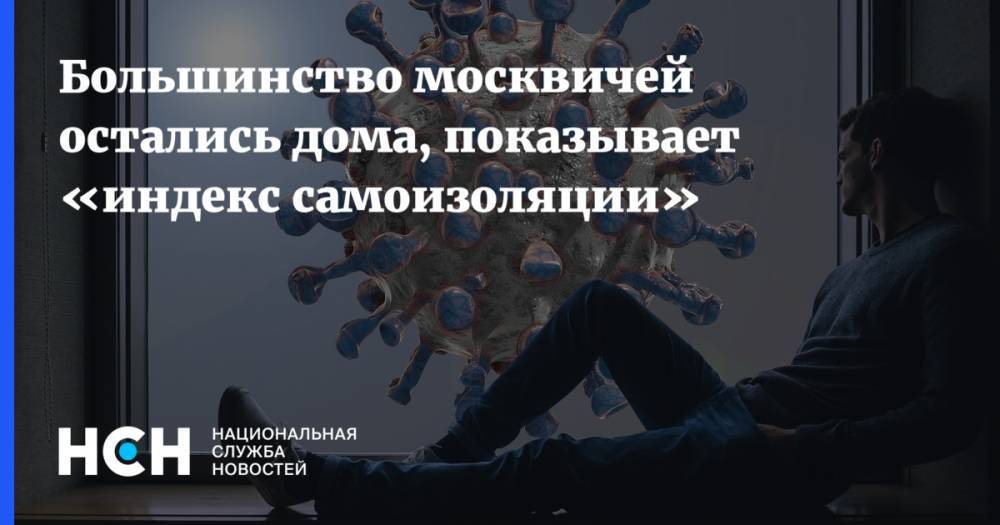 Большинство москвичей остались дома, показывает «индекс самоизоляции» - nsn.fm - Россия - Московская обл. - Красногорск