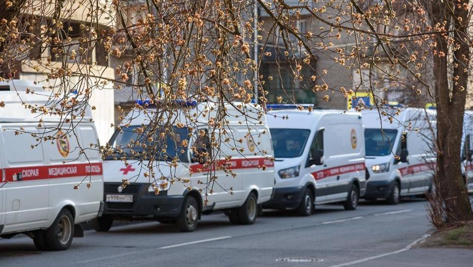 "Инфекционными боксами служат автомобили": власти объяснили очередь в Пушкине - dp.ru
