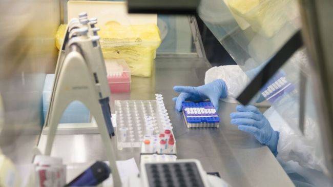 Scientific American: Чем помогут исследования на антитела к Covid-19 - eadaily.com - США - Лос-Анджелес - Нью-Йорк - шт. Массачусетс