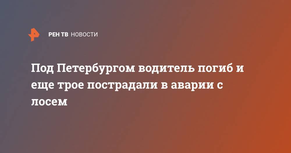 Под Петербургом водитель погиб и еще трое пострадали в аварии с лосем - ren.tv - Ленинградская обл. - Санкт-Петербург - район Волховский